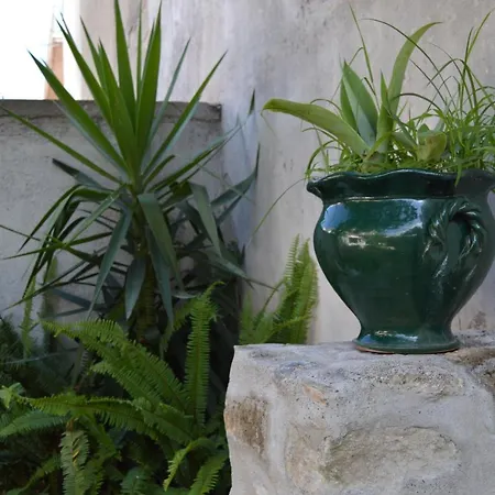 Palazzo Persephone 公寓 洛克里